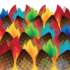 Science Festival Graphic Design